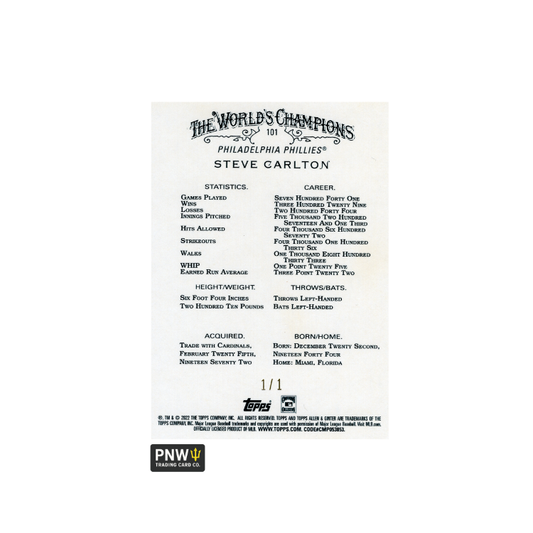 cat water fountain with filter